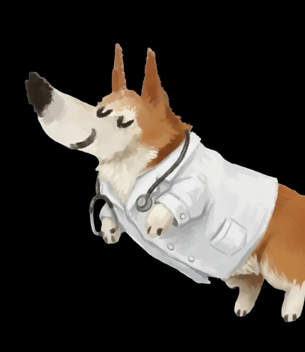 Corgi doctor